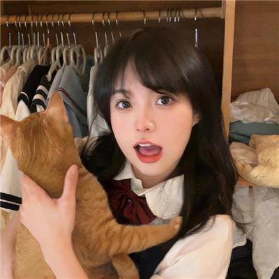 路德探长：落日之殇